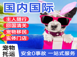 宝安空运代理国际宠物托运 【国